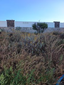 Terreno en venta en Zibata Querétaro Fraccionamiento Malaya