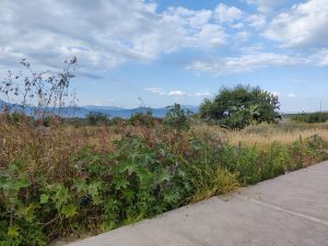 Terreno en Venta en Zibatá Malaya Querétaro